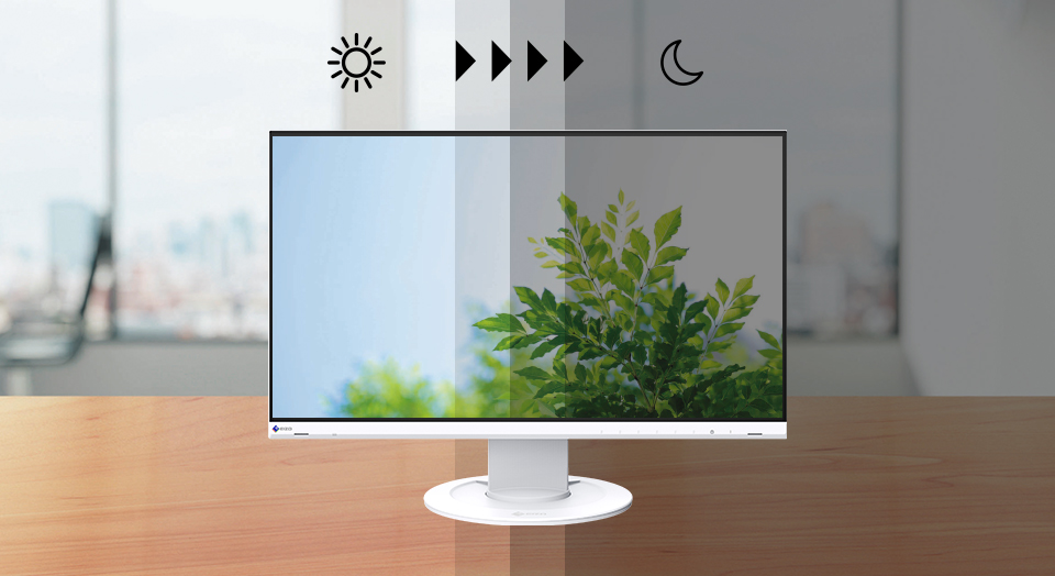 Eizo FlexScan EV2460 23.8" Colour LCD Monitor - Image 2